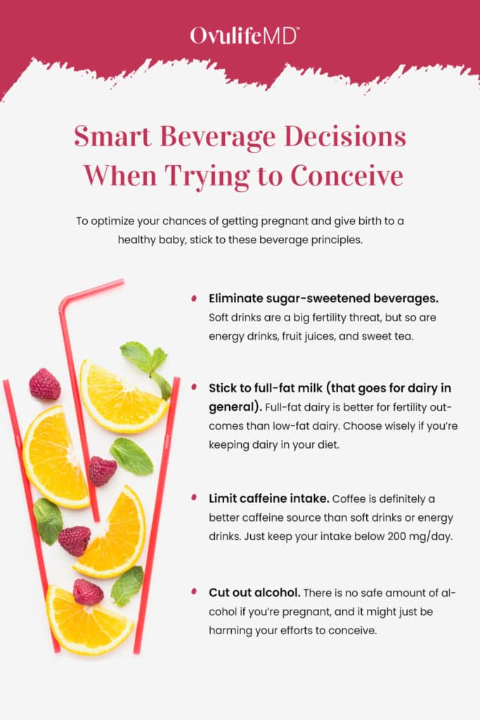 Infographic of Drink Recommendations When Trying to Conceive.