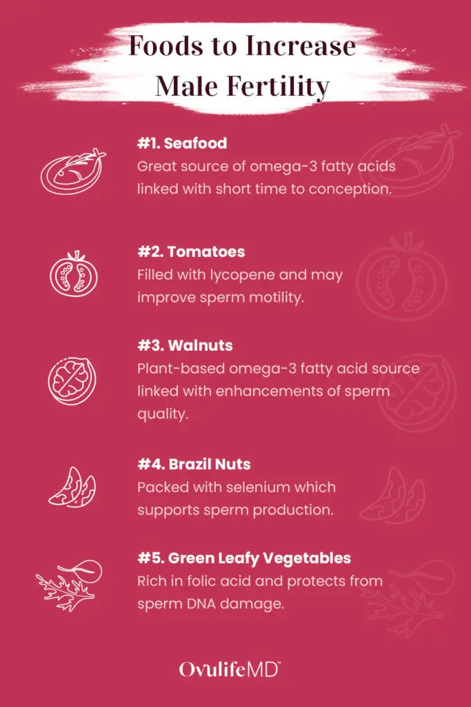 Infographic with the top foods for male fertility