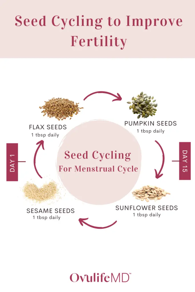 Seed Cycling for Fertility infographic