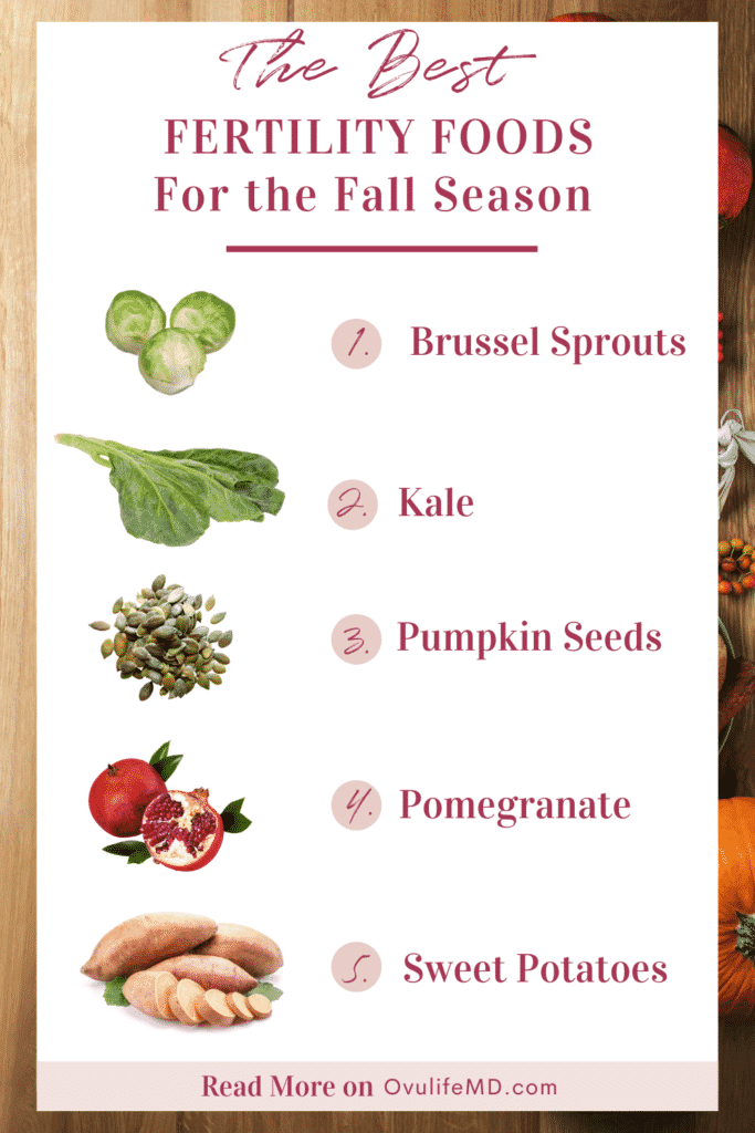 The Best Fall Foods for Fertility