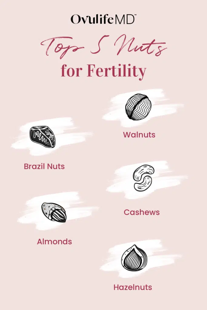  List of the top 5 nuts to promote fertility