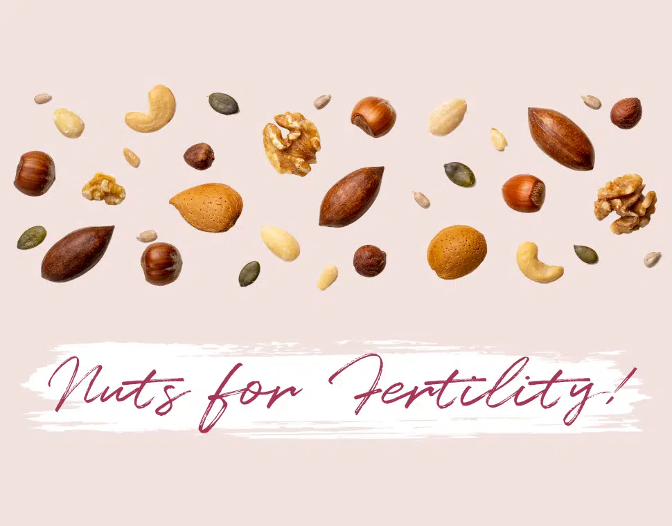 Variety of different nuts nuts for fertility spread out