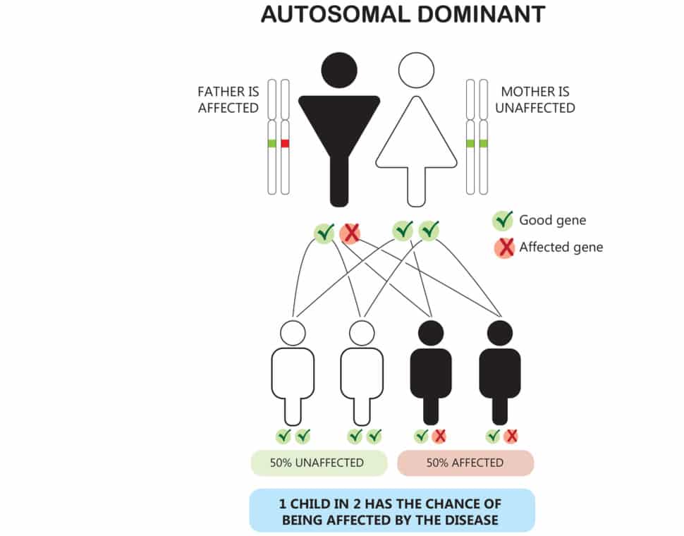 Automal dominant prenatal genetic testing