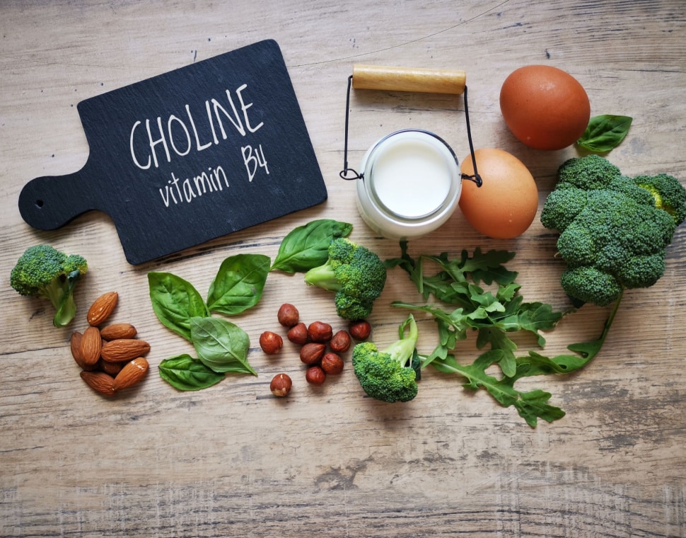 Choline and Pregnancy
